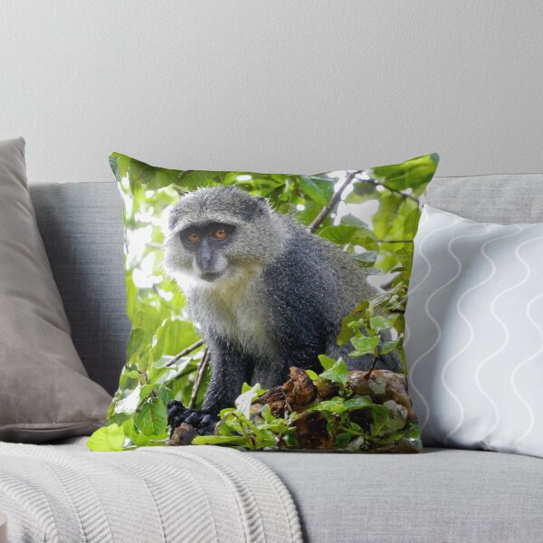 Item preview, Mono gris bajo la lluvia | Zanzibar designed and sold by rubbish-art.
