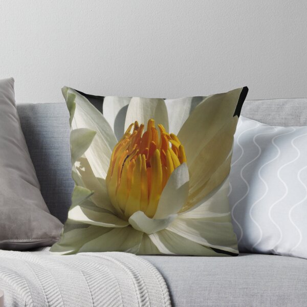 Item preview, Pond Treasures ~ Part Ten designed and sold by artisandelimage.