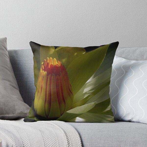 Item preview, Pond Treasures ~ Part Eleven designed and sold by artisandelimage.