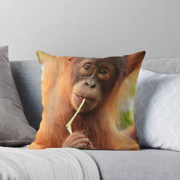 Item preview, Tanjung Puting - Central Kalimantan - Indonesia designed and sold by Erin McMahon.
