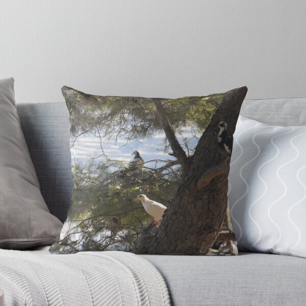 Item preview, Greek Islands Pigeons designed and sold by SlavicaB.