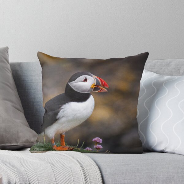 Item preview, Puffin, Lunga Island designed and sold by JourneyPhotos.