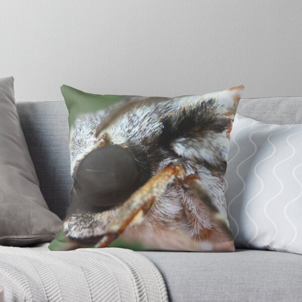 Item preview, Barasa cymatistis designed and sold by andrachne.
