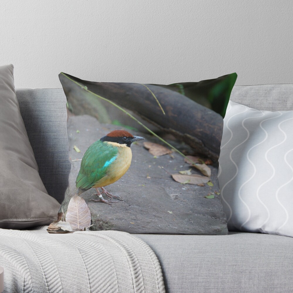 Noisy Pitta Throw Pillow