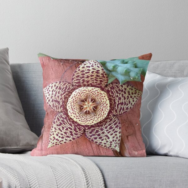 Item preview, Spectacular Cactus Flower designed and sold by Belac00.