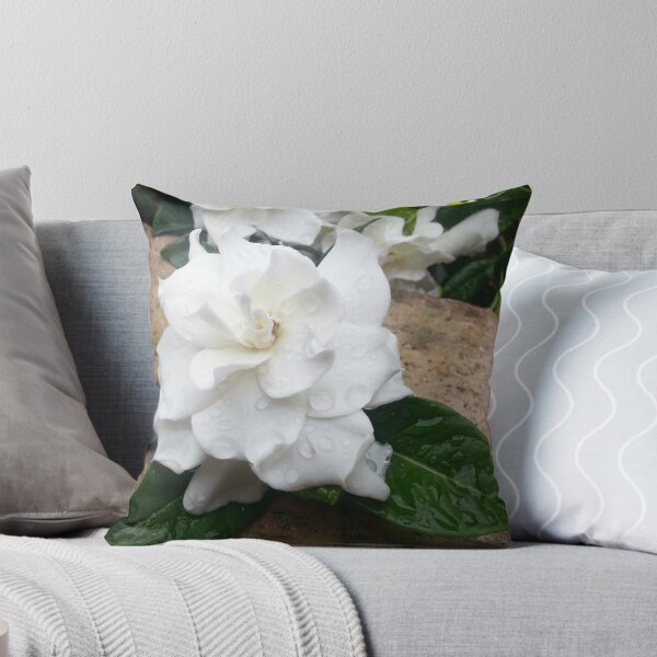 Aperçu de l'œuvre Gardenia 1 créée et vendue par TJSphoto.