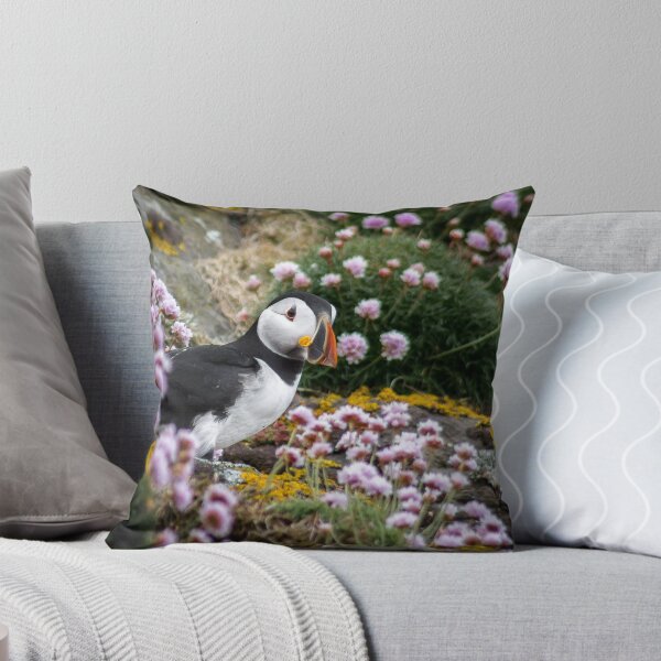 Item preview, Puffins (XI), Lunga Island, Scotland designed and sold by JourneyPhotos.