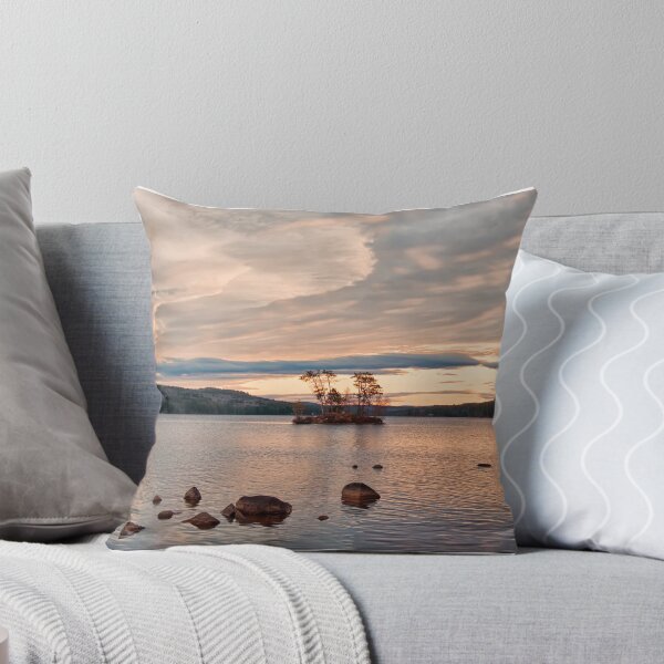 Item preview,  Maine
Capturado el 3 de noviembre designed and sold by Richard Bean.