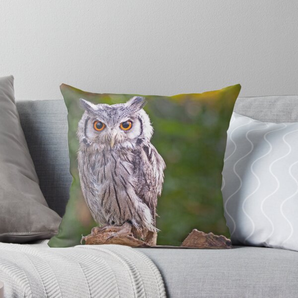 Item preview, Scops Owl designed and sold by Chris Thaxter.