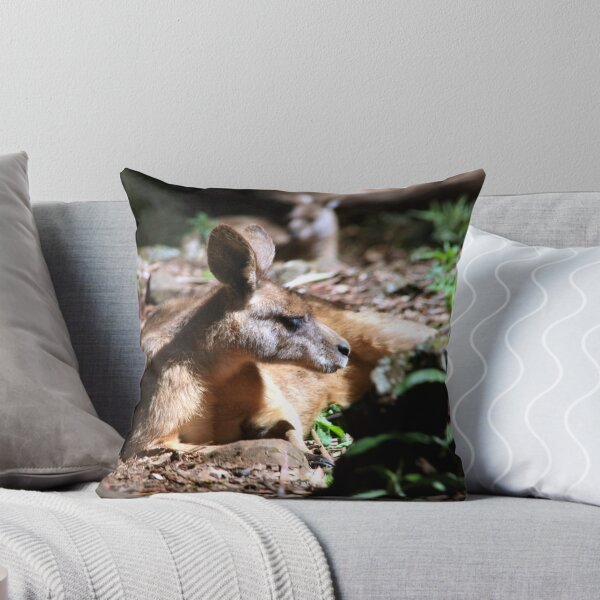 Item preview, Joey @ Trowunna Wildlife Park, Mole Creek, Tasmania designed and sold by studiojunkyard.