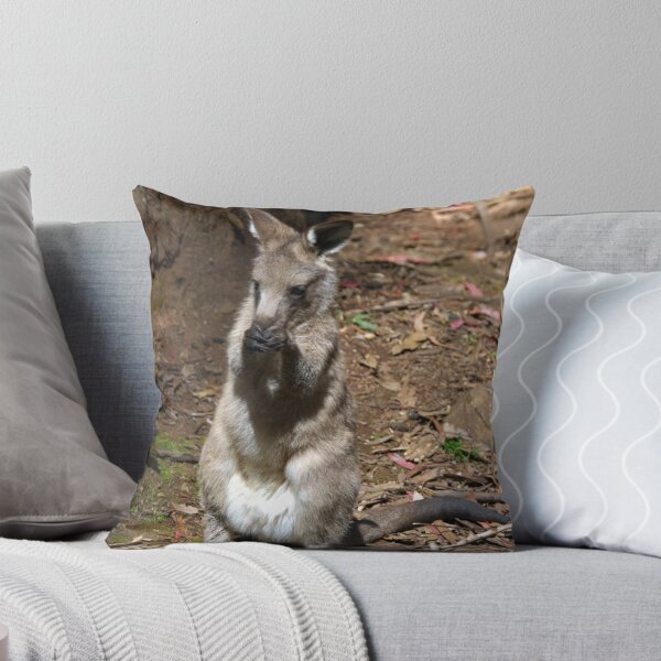 Item preview, Joey @ Trowunna Wildlife Park, Mole Creek, Tasmania designed and sold by studiojunkyard.