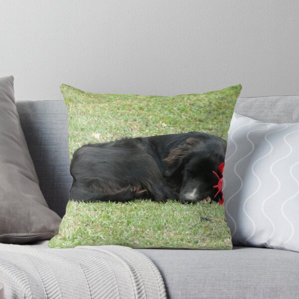 Artikelvorschau, Sleeping With The Latest "Chew Toy" entworfen und verkauft von Carolyn  Fletcher.