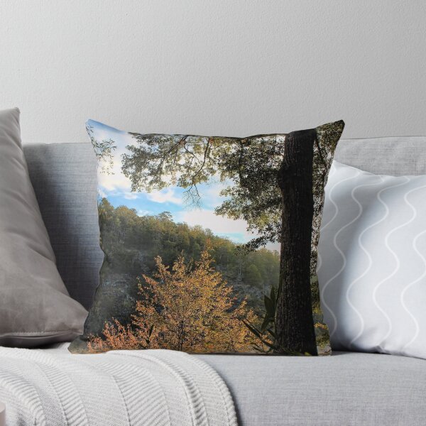 Aperçu de l'œuvre Backlit Riverside Trees créée et vendue par Carolyn  Fletcher.