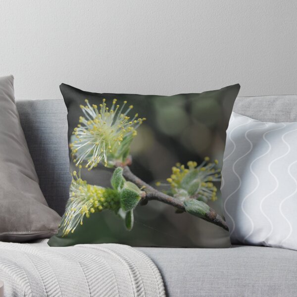 Item preview, Eared Willow Flowering designed and sold by cuilcreations.
