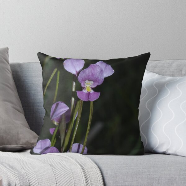 Item preview, Diuris daltonii (Western Purple Donkey Orchid) designed and sold by Russell Mawson.