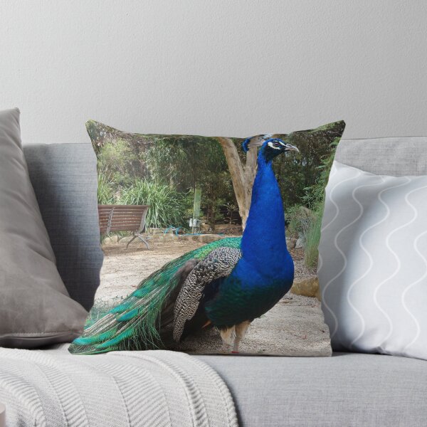Item preview, Indian Peafowl designed and sold by rogersmith.