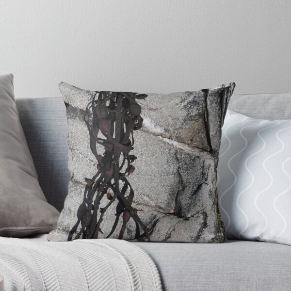 Item preview, Dry Kelp designed and sold by cuilcreations.