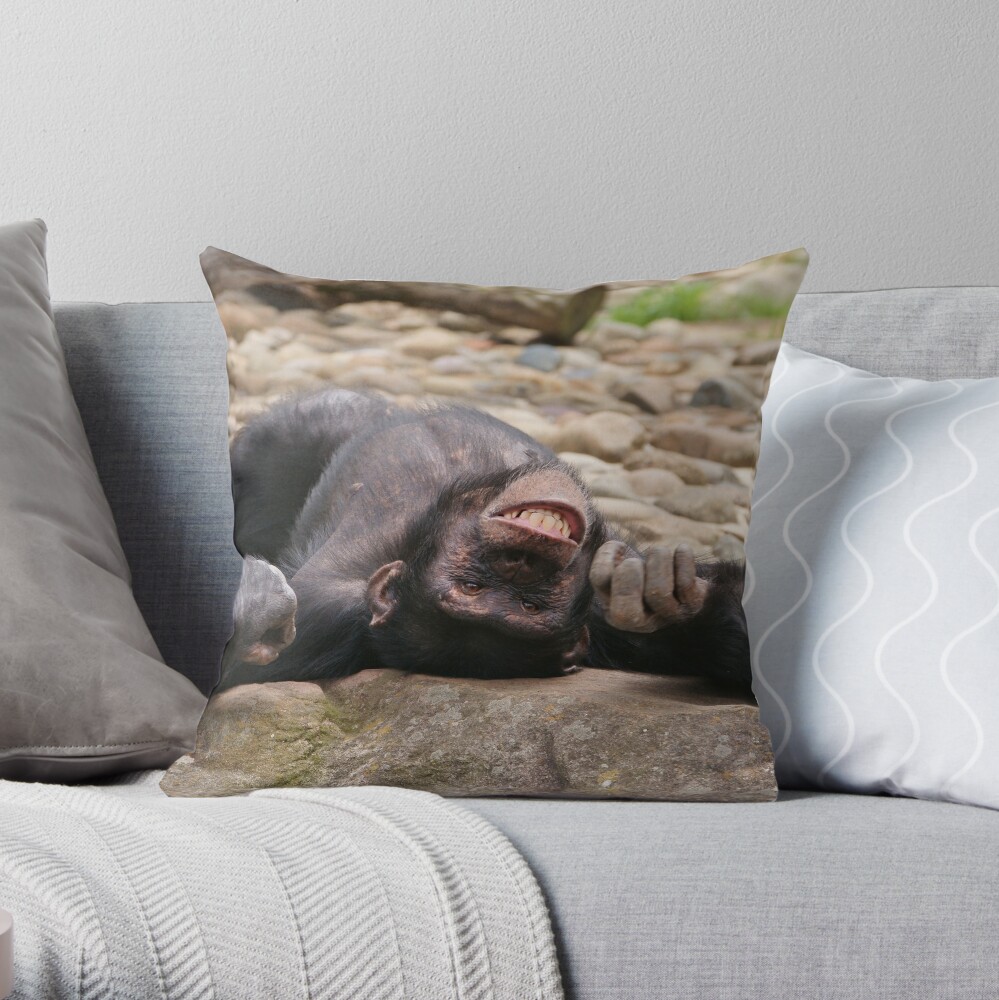 "cheese" Throw Pillow