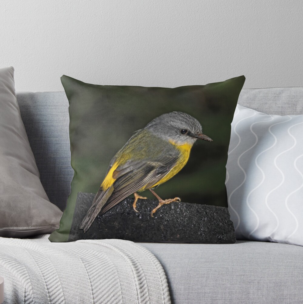 Eastern Yellow Robin Throw Pillow
