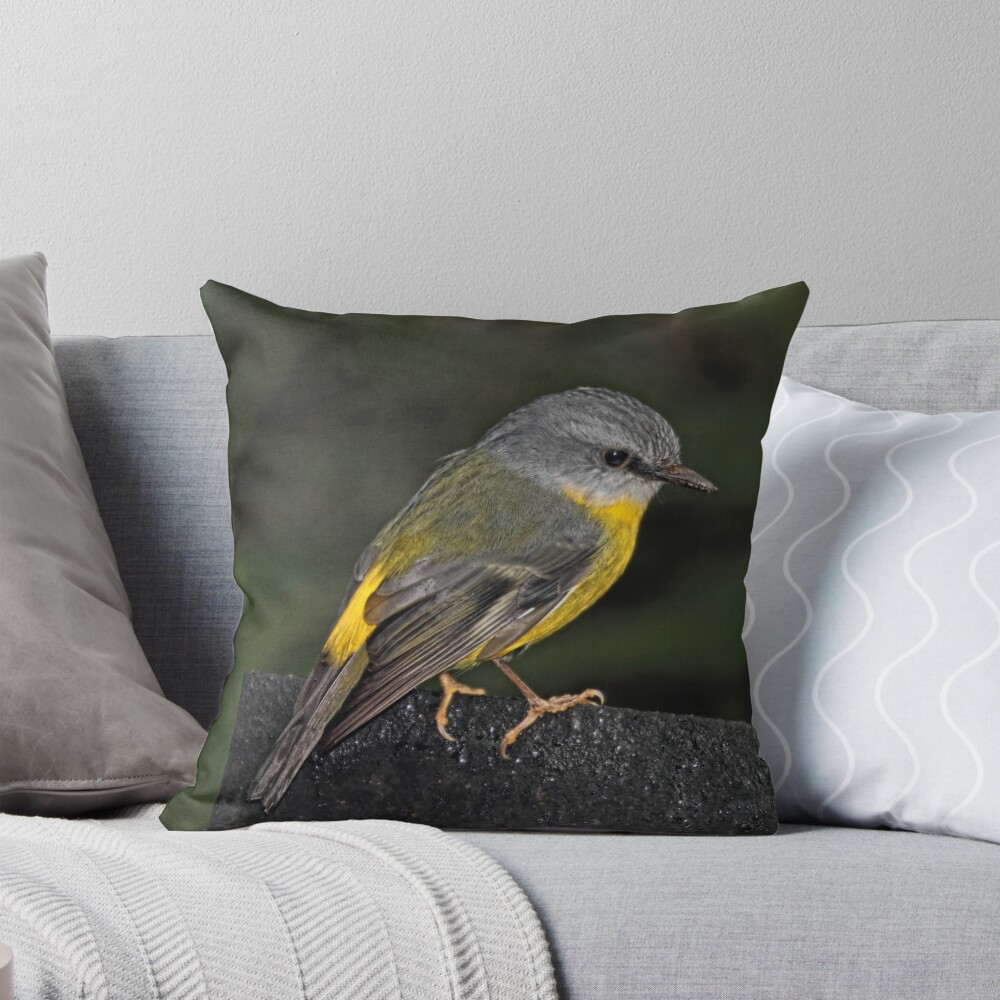 Item preview, Throw Pillow designed and sold by theoddshot.
