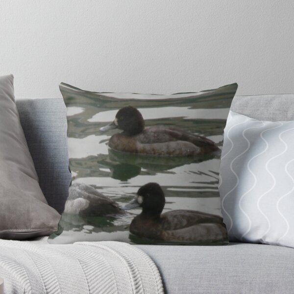 Item preview, Lesser Scaups designed and sold by Navigator.