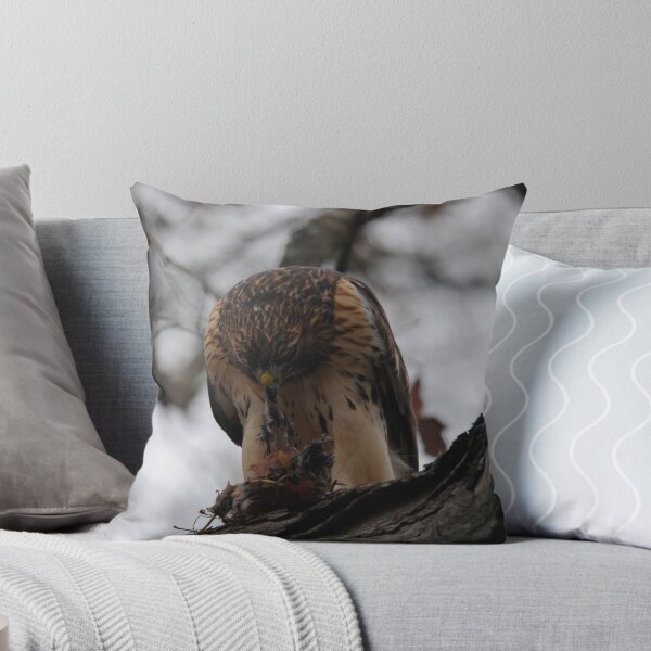 Item preview, Redtail Hawk Feeding designed and sold by Thomas Mckibben.