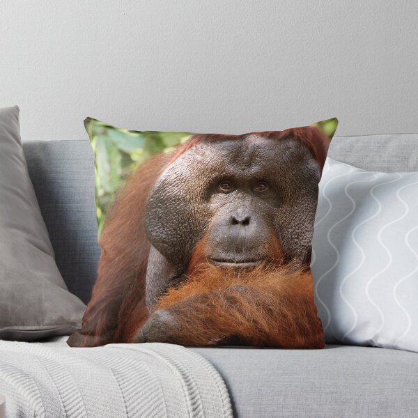 Item preview, Orangutan - Central Kalimantan - Indonesia designed and sold by Erin McMahon.