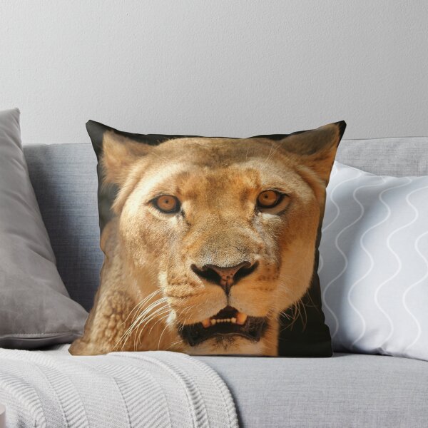 Artikelvorschau, Lioness portrait ~ square frame entworfen und verkauft von rogersmith.
