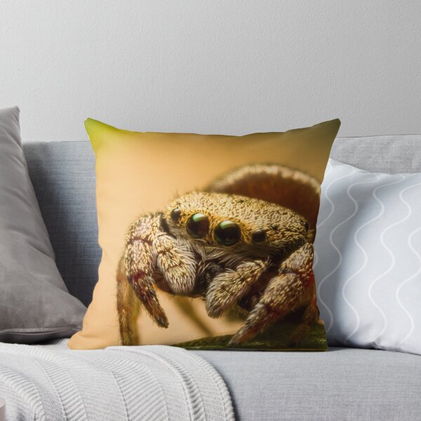 Item preview, (Simaethula ZZ483) Jumping Spider designed and sold by Kerrod Sulter.