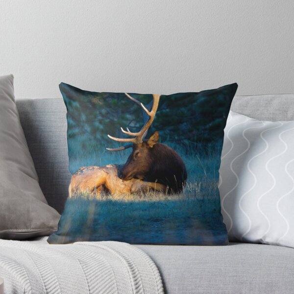 Item preview, Relaxing In The Morning Light Of Autumn designed and sold by John  De Bord Photography.