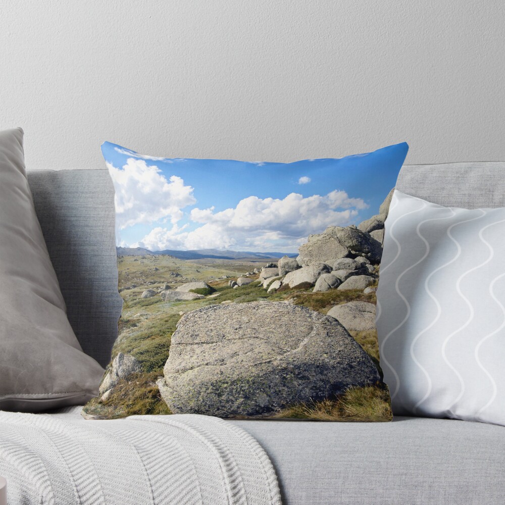 Item preview, Throw Pillow designed and sold by HarryOldmeadow.