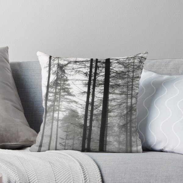 Aperçu de l'œuvre Forêt de Grizedale 3 créée et vendue par steventaylor.