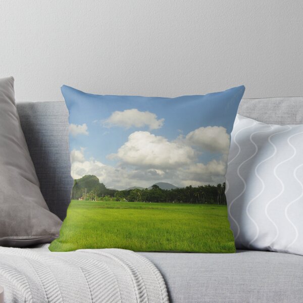 Item preview, Paddy Field in Sri Lanka designed and sold by hazarip.