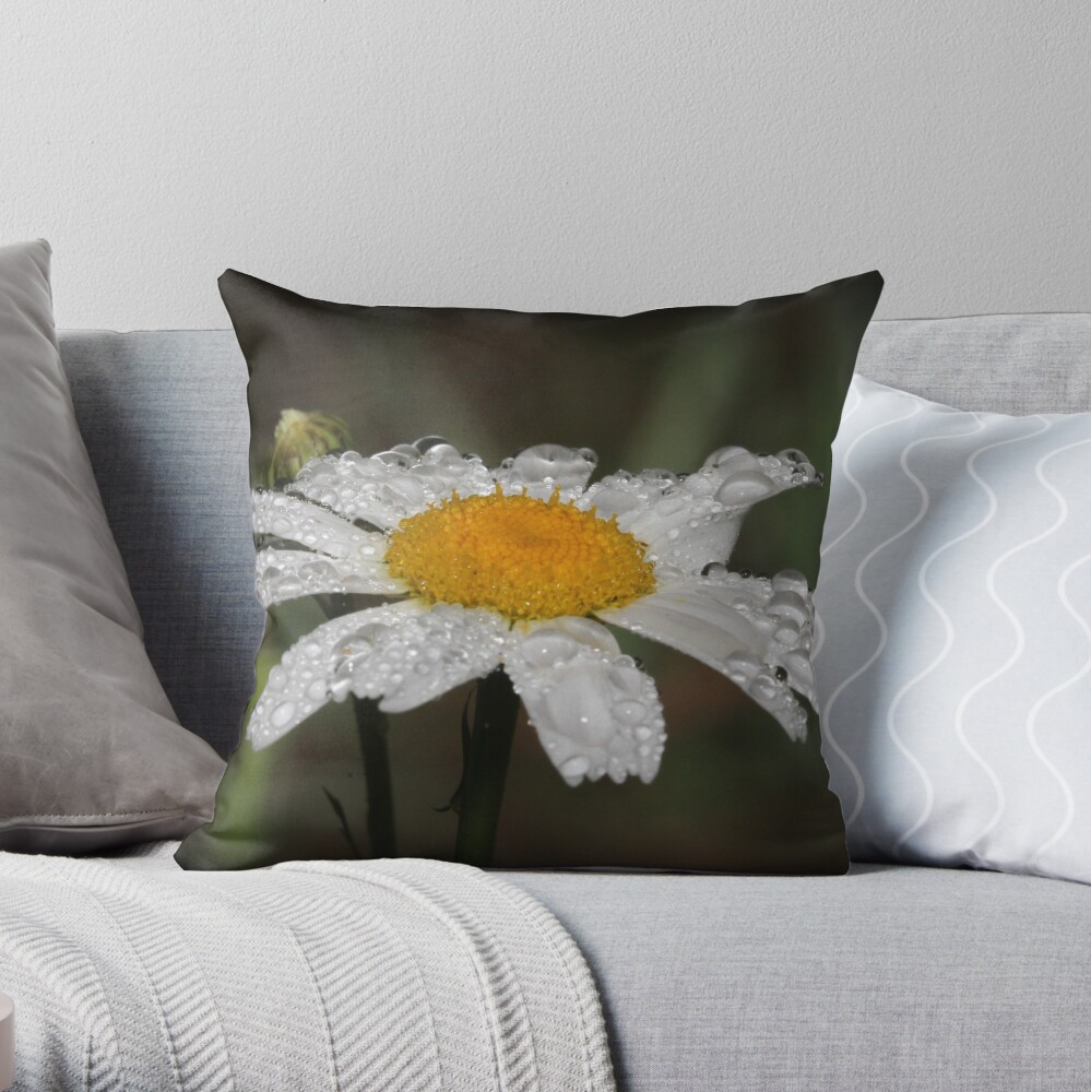 Daisy with dew drops Throw Pillow