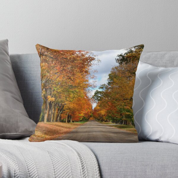 Country Sideroad Throw Pillow