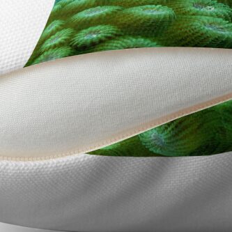 Alternate view of Pipefish on Favid Throw Pillow