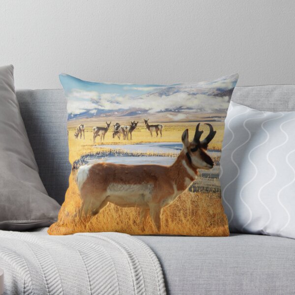 Heart Throb Throw Pillow