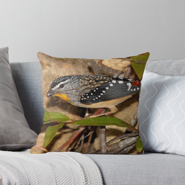 Item preview, Spotted Pardalote designed and sold by MareeDavy.