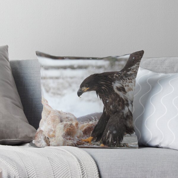 Item preview, Eagle Food designed and sold by KansasA.