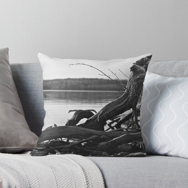 Artikelvorschau, Northern Drift Wood entworfen und verkauft von JSDesigns.