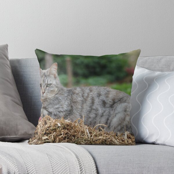 Item preview, Jessica on guard duty in the garden designed and sold by Elaine Game.