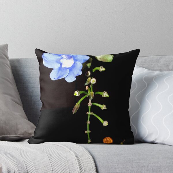 Item preview, Catching a seedpod designed and sold by B. Randi Bailey.