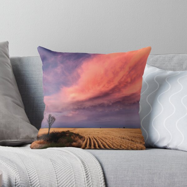 Taking the Long View Throw Pillow