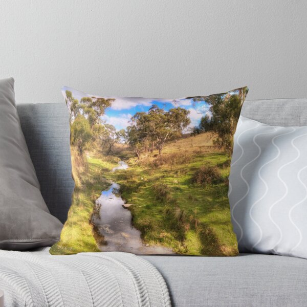 Item preview, Water Source - Somewhere near Oberon NSW Australia - The HDR Experience designed and sold by Salieri1627.
