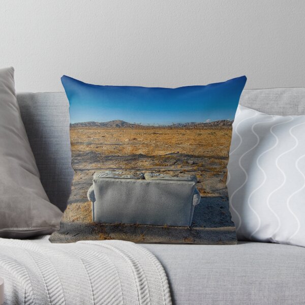 Sunroom Throw Pillow