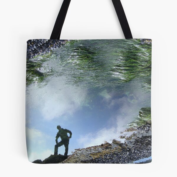 Item preview, Tide Pool Reflection designed and sold by Denise R  Fleming.