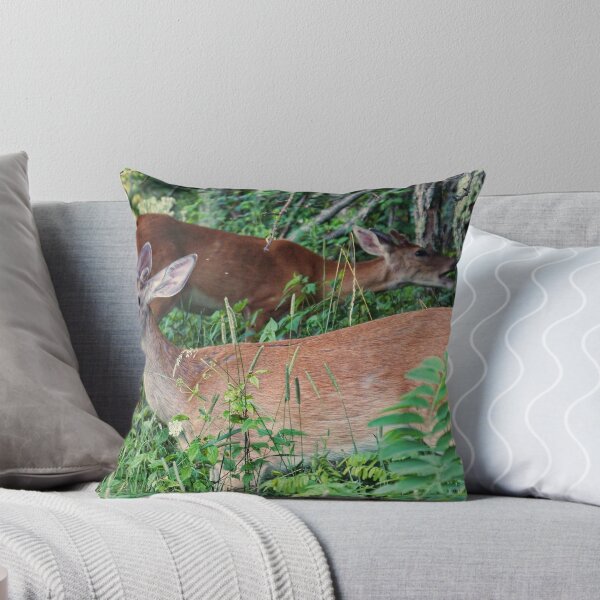 Item preview, Young Bucks designed and sold by James Brotherton.