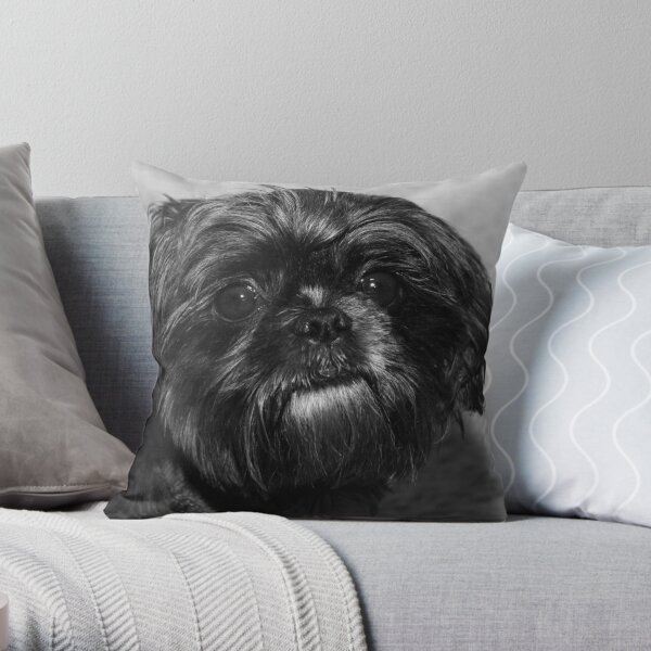 https://ih1.redbubble.net/image.799986062.2415/throwpillow,small,600x-bg,f8f8f8-c,0,120,600,600.u1.jpg