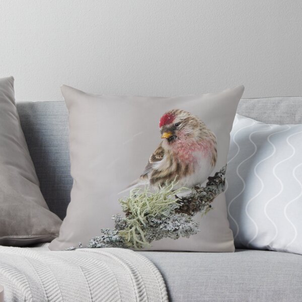 Item preview, Common Redpoll designed and sold by Daniel Cadieux.