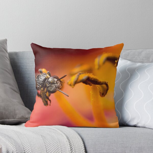 Item preview, Native Stingless Bee designed and sold by Andrew Durick.